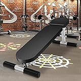 FBITE Hantelbank, verstellbare Krafttrainingsbank für Ganzkörpertraining, Fitnessgeräte, klappbare Multifunktionsbank für Schrägbankdrücken mit Beinstrecker