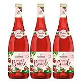 Katlenburger Erdbeerbowle Fruchtwein rosé Deutschland inkl. FeinWert E-Book (3 x 1,0l)