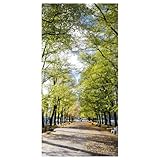 Stoffbanner schwer entflammbar Allee im Park 100 x 200 cm Deko Banner Langbahnen