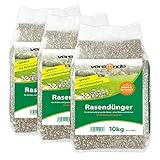 versando Frühjahrsdünger mit Langzeitwirkung Rasendünger 30kg für ca. 1000m² sattgrünen Rasen, ganzjährig - ohne Moos und Unkraut, NPK-Dünger