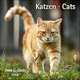 Katzen Cats 2018 - Broschürenkalender - Wandkalender - mit herausnehmbarem Poster - Format 30 x 30 cm: Mit Nutzkalendarium