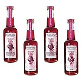 Fruchtwerker | Himbeer & Essig | Mit Saft aus echten Früchten| 4er Pack | 4x 250ml Glasflasche