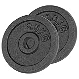 Sport-Tec Hantelscheibe aus Gußeisen 0,5kg bis 20kg, Bohrung Ø 3cm, Stück