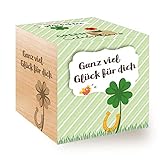 Feel Green 296688 Celebrations Ecocube, Glücksklee, Holzwürfel Mit Lasergravur «Ganz Viel Glück Für Dich», Nachhaltige Geschenkidee, Anzuchtset, Made in Austria, natural