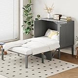 Billg Schrankbett 90x200 cm, Wandklappbett 2 in 1 multifunktional, Wandbett Mit Lagerregal, Schrankbett Bed Concept mit Lattenrost, Murphy Bed Tragfähigkeit 150 kg, Ohne Matratze