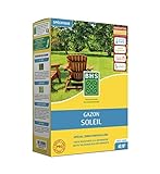 BHS Sonnenrasen – 1 kg – 40 m² – Resistent gegen Mittelmeerklima – resistent gegen Trockenheit GSO1