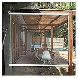 Transparenter Außenrollo, 100 % federhebender Kunststoff-Rollo, wasserdichter Vorhang, abgeschnitten für Terrasse, Hotel, Büro, kann individuell angepasst werden (115 x 230 cm)