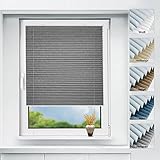 bobodeco Plissee ohne Bohren verdunkelung Klemmfix, Thermo Plisseerollo Graphit 70x210cm (BxH), Verdunklungsplissee mit Klemmträger, Sonnenschutz, 100% Blickdicht Rollos für Fenster & Tür
