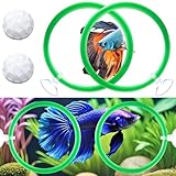 Betta Fischspielzeug – 4 Trainingsringe und 2 Bio-Filterbälle, Beta-Übungsschlaufen-Spielzeug und Nitriierungsbälle, Betta-Fischtank-Zubehör, Futterring für kleine Aquarien, Dekoration