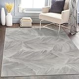buyluhn Waschbar in Waschmaschine Wohnzimmer Teppich Feder 100x150 Kurzflor Teppich Schlafzimmer, Grau Teppich Gegend Dünn Bettvorleger Saugfähig für Jugendzimmer Jungen Mädchen