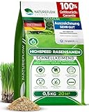 Rasensamen Schnellkeimend Frühjahr – TEST SEHR GUT – Grassamen Schnellkeimend für Rasen & Rasen Nachsaat 0,5 kg für 20 qm – Rasensaat für Nachsaat Rasen Frühjahr, Saisonstart, kräftiges Wachstum