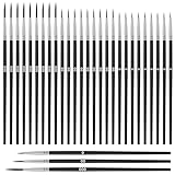 Giantree 30 Stück Feine Pinsel Set, Malen Nach Zahlen Pinsel, Winzige Detailpinsel Professioneller Kleines-Pinsel mit Feiner Spitze für Acryl Aquarell Modellbau Basteln Gesichtsbemalung(#0#00#000)