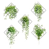 3D Grünen Pflanzen Wandaufkleber, 5 Stück Wandtattoo Pflanzen Grün, Wandaufkleber Grün Efeu Blätter Wandsticker, 3D Wandaufkleber Pflanzen für Küche, Schlafzimmer, Wohnzimmer