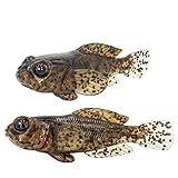 5er Set FISHN GOBYone 7,6cm 9gr Ultra Realistische Grundel Gummifisch zum Angeln auf Barsch und (Mudd)