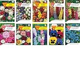 Blumen Samen Set: Sommerblumen-Paket / 10 verschiedene Sommerblumensorten/bunte Blumenwiese/Für Garten, Balkon und Hochbeet