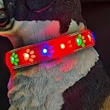 LED-Hundehalsband mit USB-Aufladung, leuchtendes Band, Anhänger, abnehmbar, fluoreszierendes Halsband, geeignet für Katzen, E7D8, Night Coll für Hunde