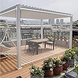 Transparenter Außenrollo, transparenter Vinyl-Rollo, für den Außenbereich, Pergola, Terrasse, Kunststofffenster, regenfester Vorhang mit Beschlägen, kann individuell angepasst werden (165 x 170 cm)