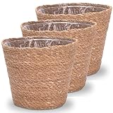 Decorasian Pflanzkorb – Übertopf geflochten – dekorativer Seegras Blumentopf mit Folieneinsatz im Boho Stil, 3 Stück 22cm