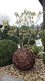 Weidenkugel in 6 Größen, Dekokuge laus Weide Weidenball Gartenkugel Handgefertigt in EU (45cm)