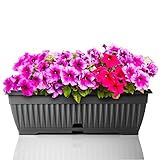 BigDean Blumenkasten mit abnehmbarem Untersetzer - Anthrazit 50 cm lang aus bruchsicherem Kunststoff - Balkonkasten Pflanzkasten mit Wasserspeicher für Innen- & Außenbereich geeignet - Made in Europe