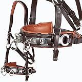 Heinick-Reitsport Profi Leder KAPPZAUM Edelstahl mit Gebissriemen Naseneisen ~ Braun-Chestnut ~ Vollblut