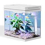 16L Nano Fischtank Aquarium mit LED-Leuchten & Filtersystem, Filtermedien, tropischeAquarien (16L)