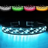 Leuchthalsband Hund - hundehalsband Leuchtend - LED Blinklicht und Reflektorstreifen - USB leuchthalsband Hund aufladbar wasserdichtes - einstellbares leuchthalsband - Blau…