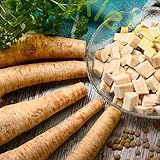 Wurzelpetersilie Petersilie Kräuter Kräutersamen Petersiliensamen 1000 Samen von 'der-kleine-gaertner'