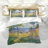 LANDERSION Abstrakter Bettbezug Natürliche Landschaft Bettwäsche Bettbezug Set Weiche Mikrofaser Leichter Bettbezug mit Reißverschluss 200x200cm