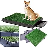 Sailnovo Hundetoilette, Welpentoilette Zwei Stücke Rasen 63 x 50 cm große 1pcs