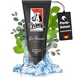 CHAMP Ice-Punch Sportgel - Pferdesalbe Muskelgel gegen Muskelkater und zur Muskel-Regeneration | Schmerzgel - Extrem Kühlend