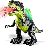 TOEY PLAY T-Rex Dinosaurier Figuren, Dinosaurier Spielzeug mit Sprühen, Gehen, Lichtern und Brüllen, Geschenke für Kinder Jungen Mädchen 3 4 5 Jahre