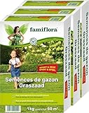 Famiflora Grassamen Spielen und Sport - zum Bau neuer Rasen - 3kg bis 150m2 (3 x 1kg) - Für einen Spiel- und Sportrasen - Starker Rasen - Dichter Rasen