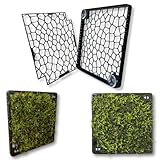 Generisch Mooswand Aquarium – Rückwand-Gitter zum Begrünen – Slim Design mit Saugnapf – für Moos & Aufsitzerpflanzen – Aquarium Pflanzen Zubehör (Saugnapfbefestigung)