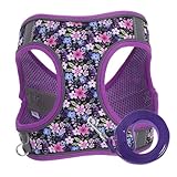 SUPVOX Haustiergeschirr Hundegeschirrleine Hundeleinen Haustier Hundegeschirr Bequeme Katzenleine Hunde Laufgürtel Kleines Welpengeschirr Zugseil