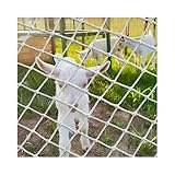 HMCEY Sicherheitsnetz Balkon Kinder 1.5 X 3 M,Schutznetz Hochbett Seilnetz Rausfallschutz,Treppenschutznetz und Balkonschutz,Absturzsicherung Kletternetz,Sicherungsnetz Kinderschutz,Safety Net