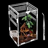Reptilien Terrarium Box, Transparente Fütterungsbox Acryl, 20*12*12cm Reptil Fütterungsbox, Reptilien Aufzuchtbox mit Pinzette, Insekten Futterbox für Spinnen, Eidechsen, Käfer, Frosch, Schlangen etw.