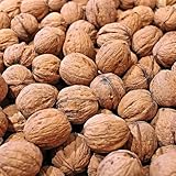 Paul´s Mühle Walnüsse in Schale Grenoble Speisequalität 5 kg Neue Ernte 2025