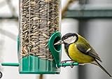 Italmix Sonnenblumenkerne für Wildvögel, Futter für Finken, Spatzen, Lucherini und Ciuffolotten, 1 kg, Premium-Qualität