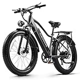 CEAYA Elektrofahrrad,E-Bike für Herren und Damen,26''E-Mountainbike,48V20AH E Fahrrad,Mit 7-Gänge Elektro Fahrrad