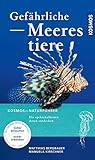 Gefährliche Meerestiere: Die spektakulärsten Arten entdecken. Sicher betauchen - sicher erkennen