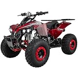 Actionbikes Motors Kinder Quad ATV S-10 125 cc | 4-Takt 125ccm Motor bis 𝟓𝟎 km/h - Kinderquad - Pocket Quad - Miniquad - Benzin Quads - Kinderfahrzeug - Für Kinder ab 8 Jahren (Metallic Rot)