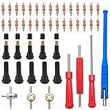 VooGenzek 47 Stücke TR413 Reifen Ventilschaft Einziehwerkzeug, Ventilkerne, Ventilkernschlüssel, mit TR413 Snap-in Gummi Reifen Ventile, Doppel & Einzelkopf Ventil Entferner, für Auto, Motorrad