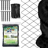 15m x 15m Vogelschutznetz Engmaschig, Vogelnetz für Obstbäume, Gartennetz Geflügelnetz Teichnetz Katzennetz für Balkon mit 10 Erdhaken & 50 Kabelbinder (Maschenweite:5x5cm)