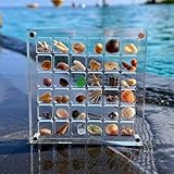 Acrylic Magnetic Seashell Display Box,Muschel Aufbewahrungsbox mit Schlitz,Magnetische Muschel Ausstellungsbox aus Acryl,Klare Diamant Edelstein Muschel Seestern Schmuck Organizer Box(A 36 Grids)