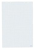 Flipchartblock / Größe: 68x99cm / 20 Blatt / kariert