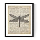 Drucke für die Gestaltung „Libelle“. Blatt mit Wörterbuchdefinition „Libertad“ auf Spanisch. A4-Format. mit Rahmen