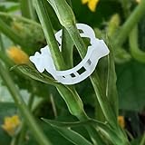 YSDMY Pflanzenclips 200 Stück Tomaten Rankhilfe Tomatenclips,Pflanzenklammern,Kunststoff Tomatenklammern zum Fixieren von Tomaten, Gemüse, Gurken