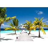 Runa Art Fototapete Strand Meer Palmen 352 x 250 cm Vlies Tapeten XXL Moderne Wandtapete Wohnzimmer Schlafzimmer Blau Grün Weiss 9035011b
