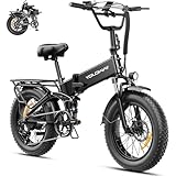 Heybike X-Hunter Ebike Schwarz